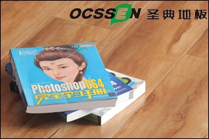 圣典地板怎么样