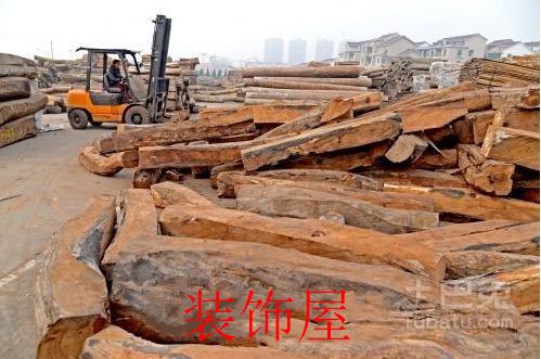 18种红木被列入国际一、二级濒危物种