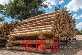 满洲里对英出口木材类商品 国际市场占有率扩大