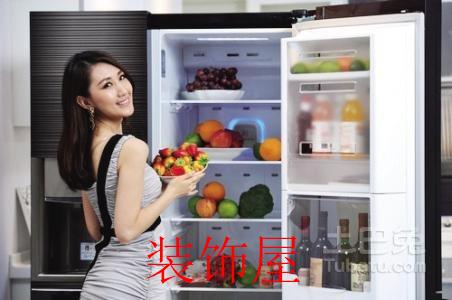 李克强总理由自家冰箱谈到实体经济转型升级